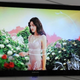 Image for article titled The Best of LCD: New LED-Lit TVs From LG, Samsung and Sony Compared
